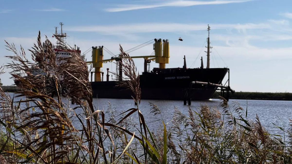 В Калининградской области ждут запуска порта в Пионерском — это повлияет на цены