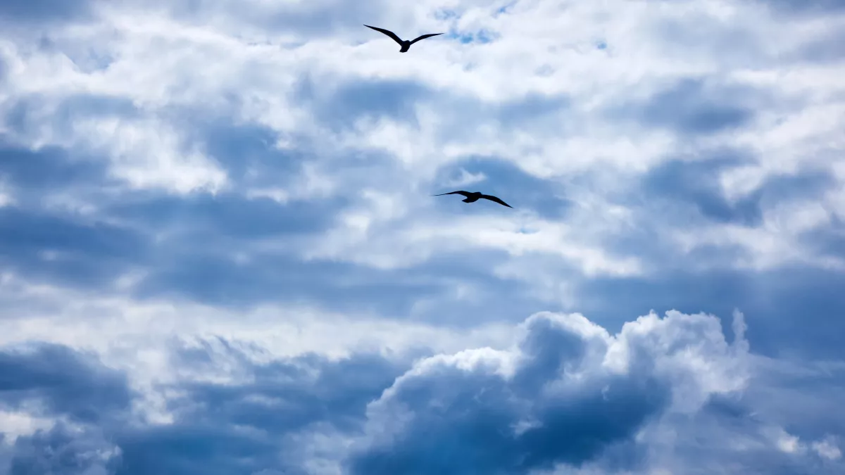 Не стирайте и не хвастайтесь, но следите за капелью: народные приметы и запреты на 14 марта