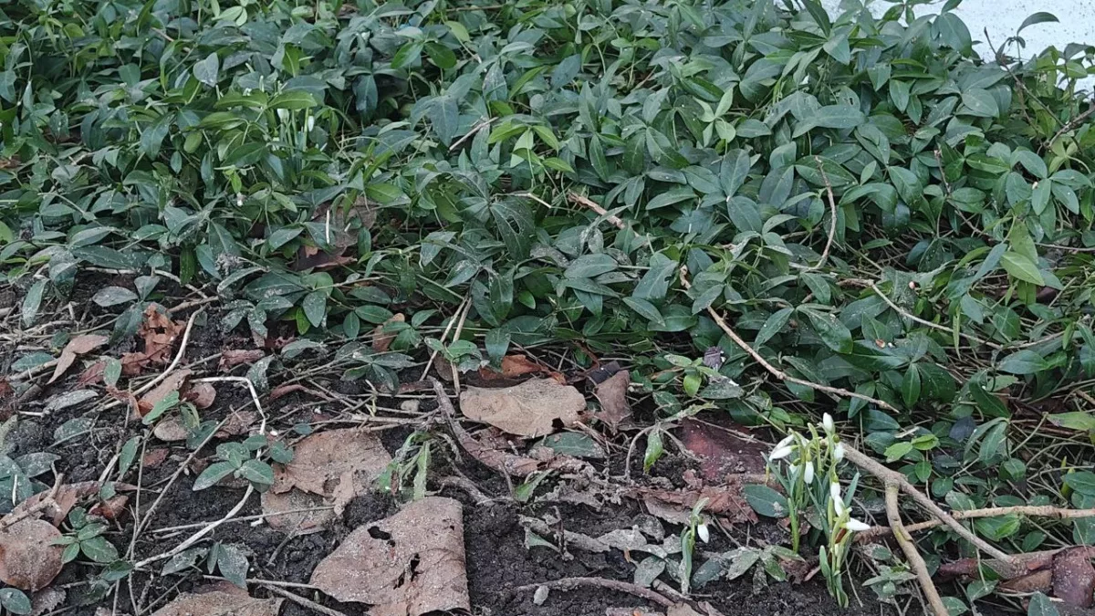 Калининград: суббота войдёт в историю? +19°С — почти рекорд. А что дальше?