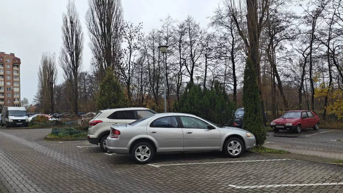 Расход бензина можно снизить на 20%: водителям назвали простые привычки, которые экономят топливо