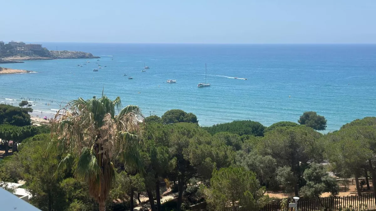 Каждый год одно и то же: туристы в Крыму совершают эти ошибки, а потом говорят, что отдых не удался