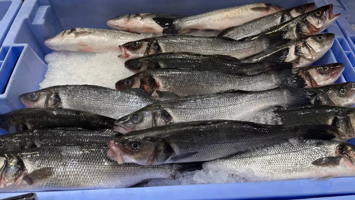 Думаете, горбуша всегда сухая? Попробуйте этот нежнейший луковый кляр — рыбу потом едят как семечки. Она сочная и вкусная