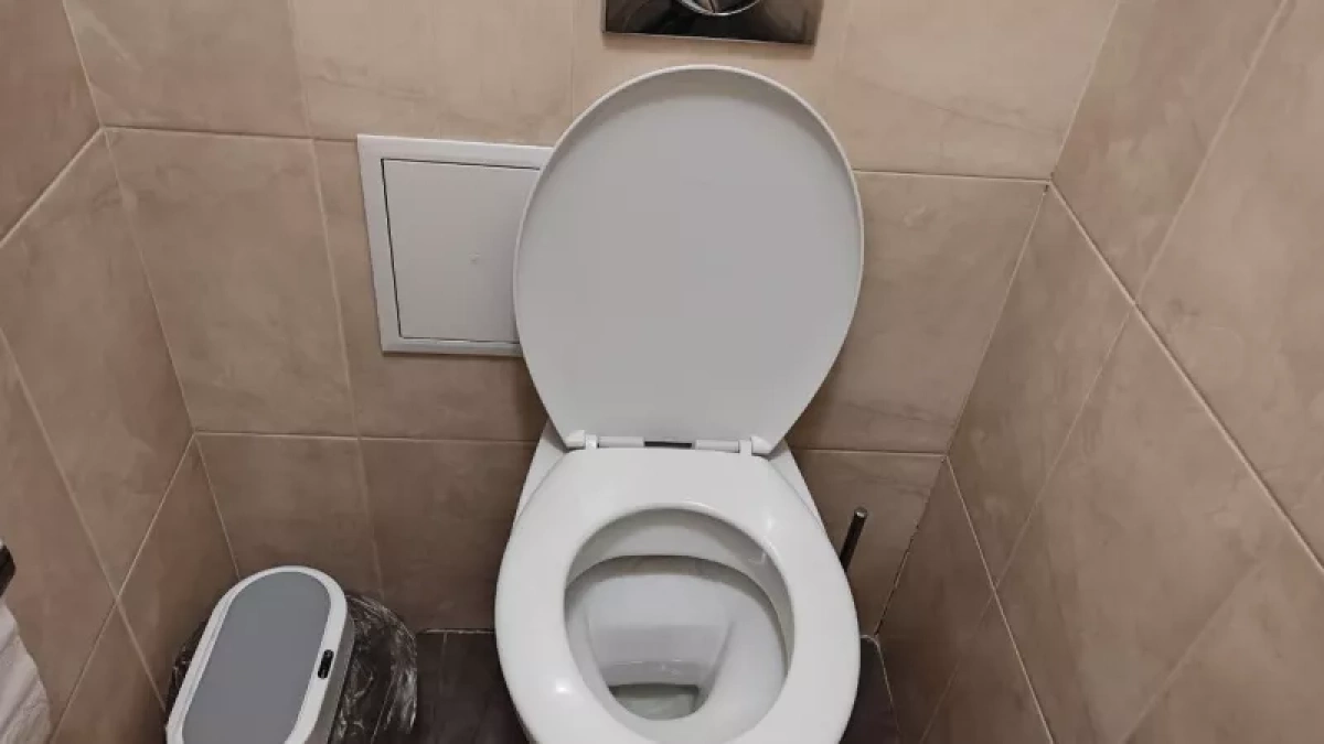 Как освежить ванную и туалет в съемной квартире: 5 быстрых и бюджетных решений своими руками