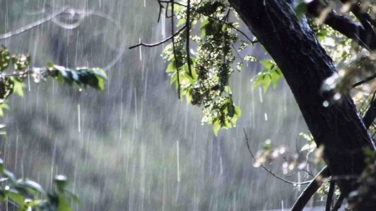 Весенние качели над Балтикой: после дождей в регион придут заморозки и солнце из Казахстана — прогноз на неделю