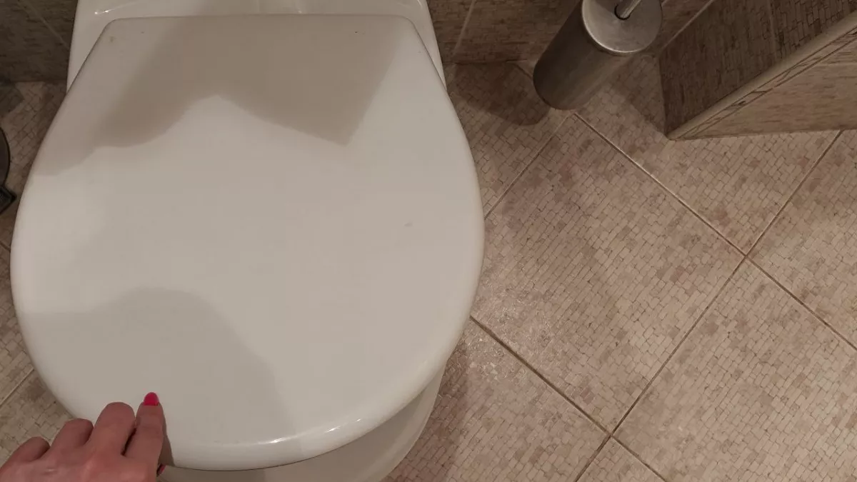 Почему нужно закрывать крышку унитаза перед смывом: причина, о которой многие не задумываются