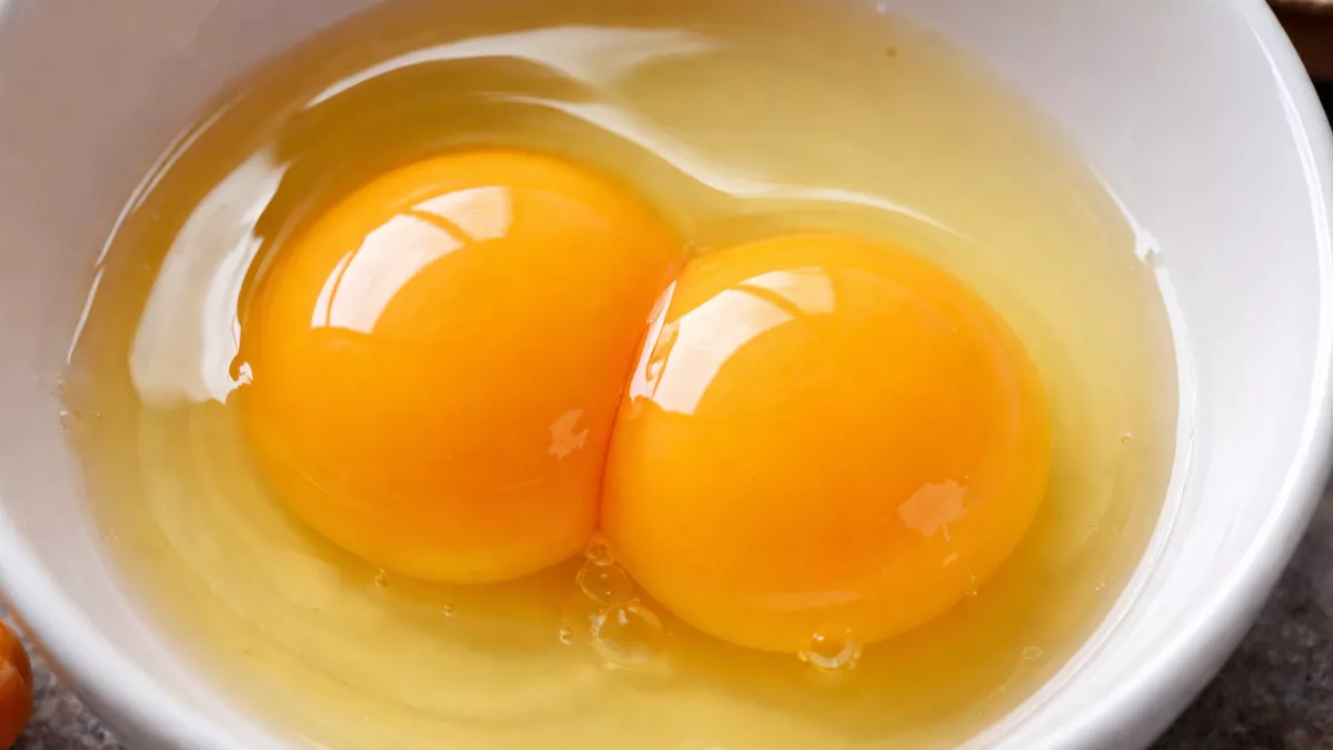 Можно ли есть яйца с двумя желтками: безопасно ли это и почему они появляются