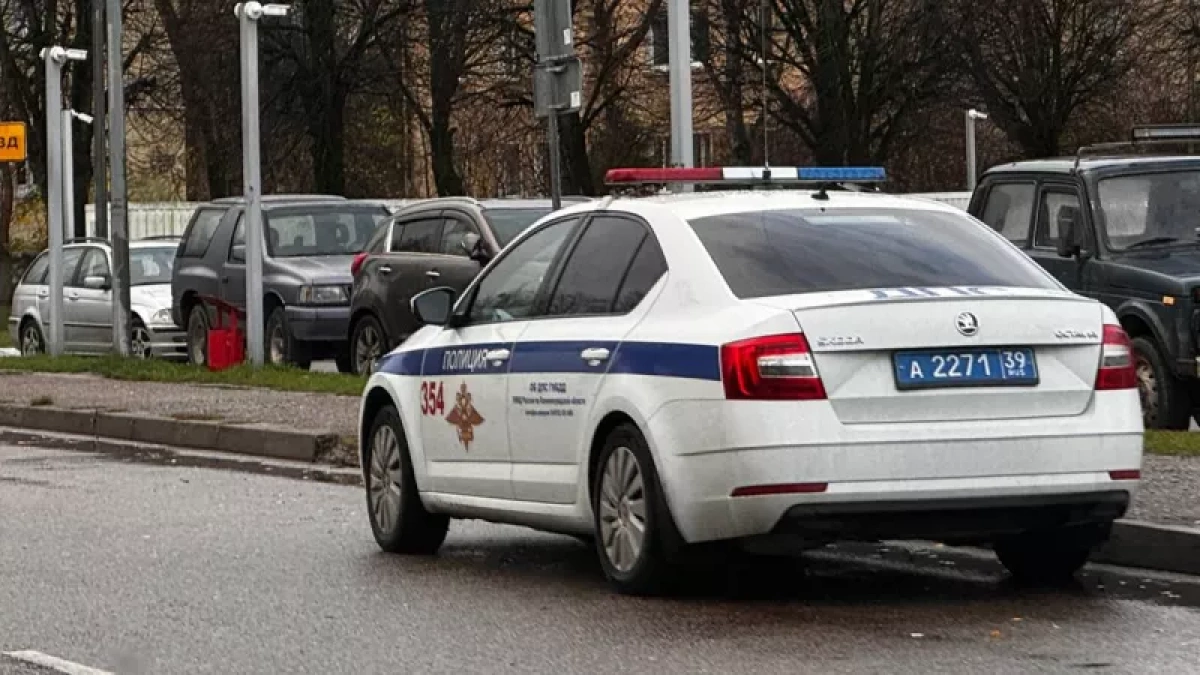 Проехал под камерой без ОСАГО — получишь штраф: что меняется для водителей в 2026 году