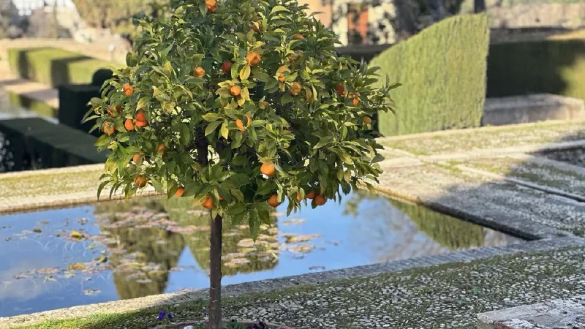 Что абхазы думают о русских туристах: не всегда платят в кафе, мусорят на пляже — местная жительница честно рассказала о курортном сезоне