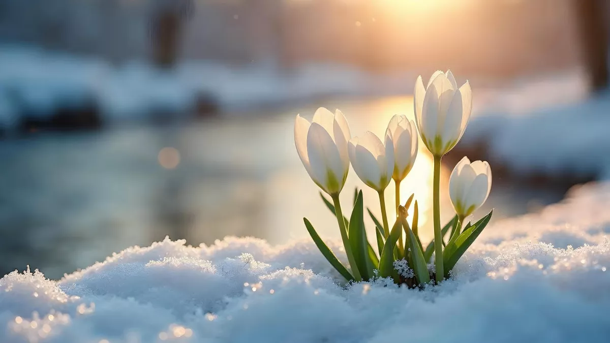 Не давайте в долг и умойтесь особой водой: народные приметы и запреты на 16 марта