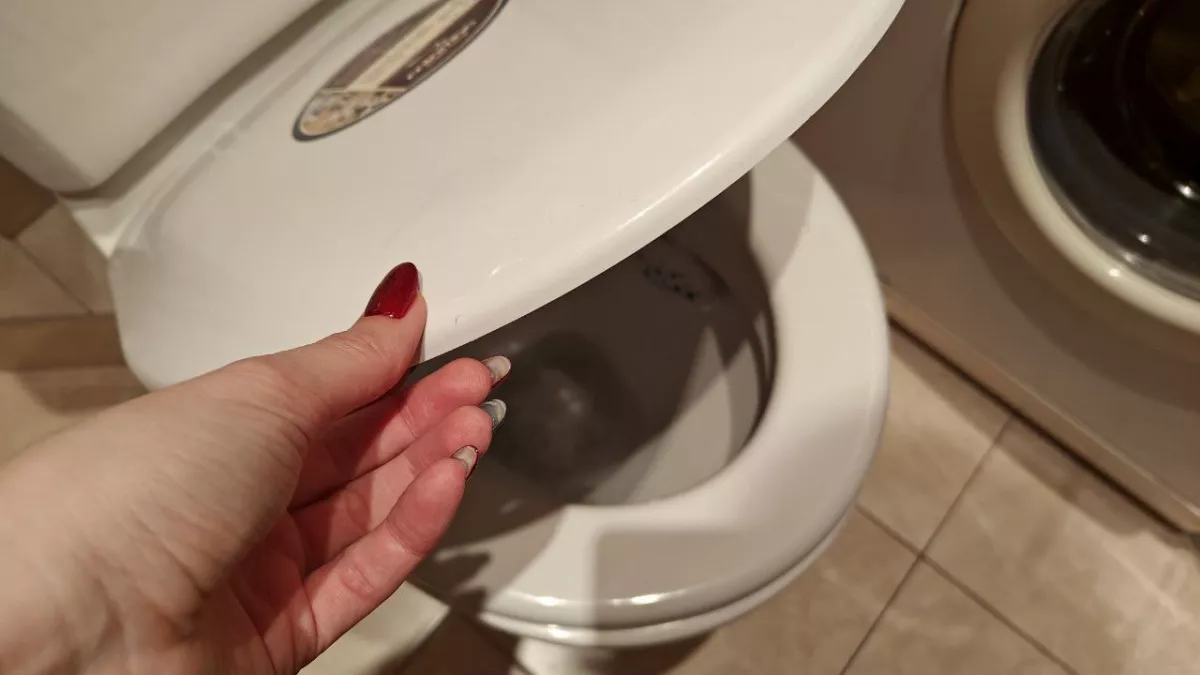 Стоит ли покупать крышку унитаза с микролифтом: плюсы, минусы и важные нюансы