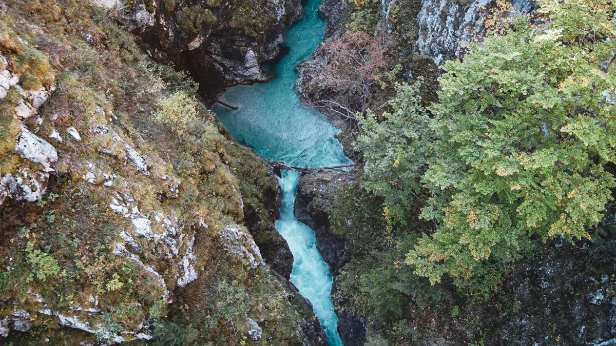 «Фотографии не передают красоты»: секретный каньон в Абхазии, о котором мало кто знает - изумрудные бассейны и таинственные мосты
