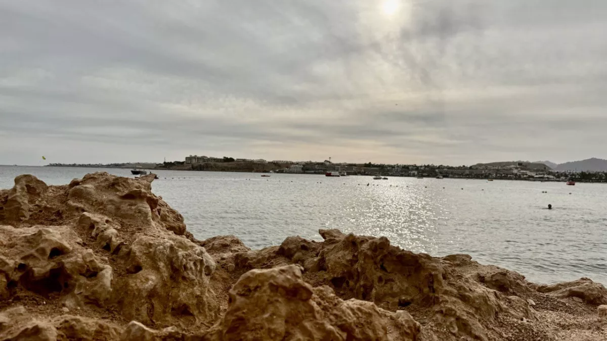 "Свинство и не только! Что меня удивило на пляжах в Гаграх": честный отзыв туристки об отдыхе в Абхазии