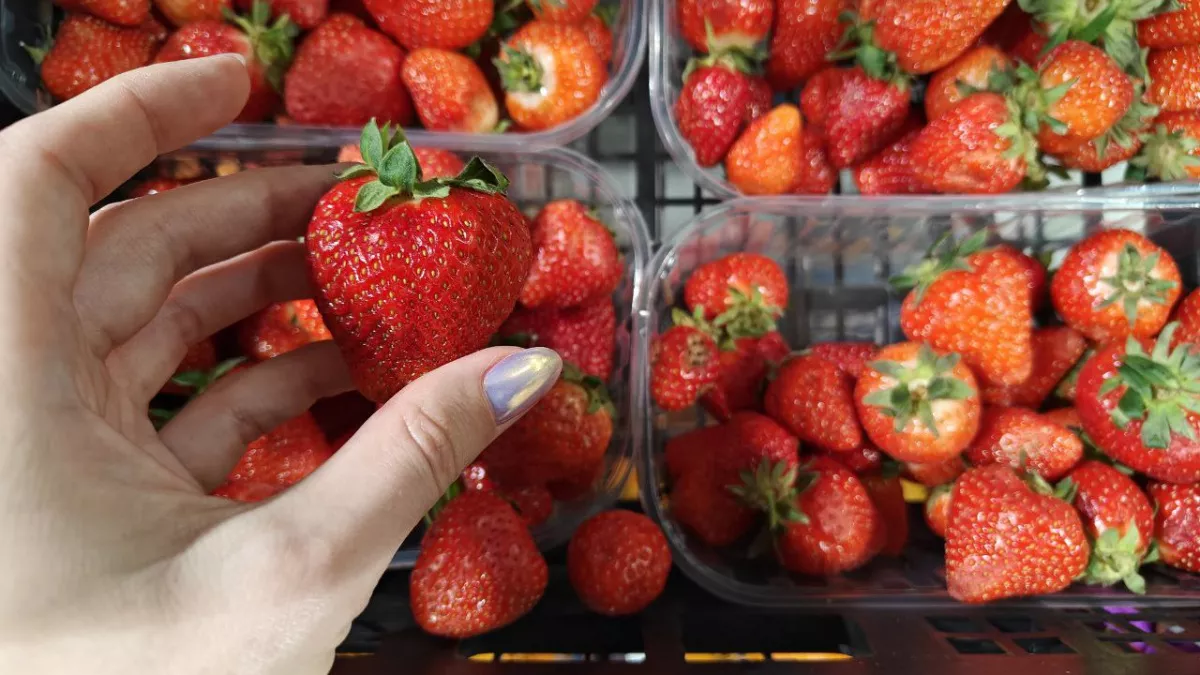 Клубника зацвела на 14 дней раньше: садоводы назвали неожиданную замену мочевине