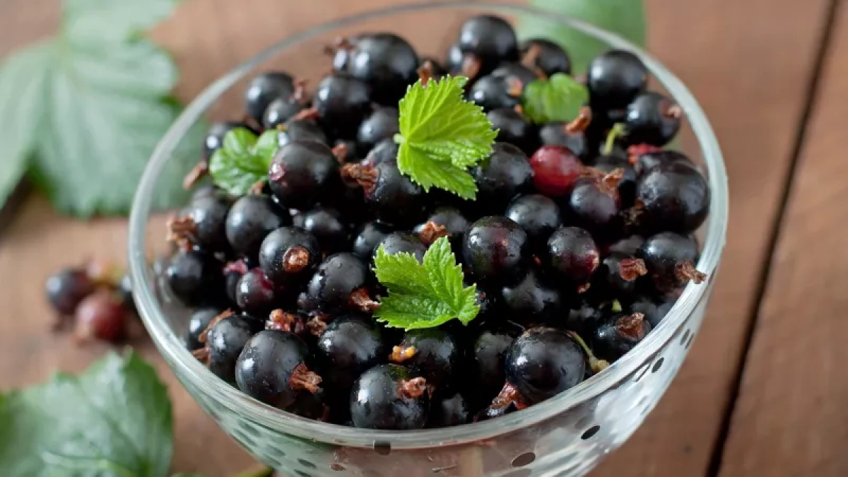 В апреле просто сыплют под куст, а летом собирают ягоды размером с виноград: крутая подкормка для ленивых огородников