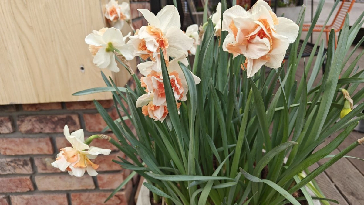 От Калининграда до Балтийска: где в области будет теплее всего 18 марта