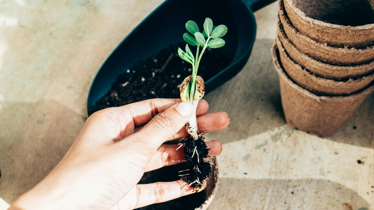Не берите грабли, займитесь уютом: народные приметы и запреты на 18 марта