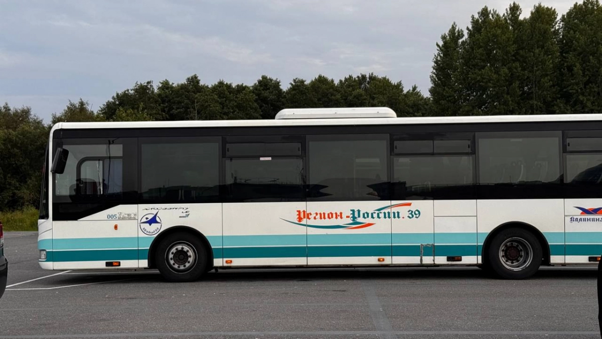 Калининградская область замахнулась на транспортную революцию: 235 новых автобусов за пять лет