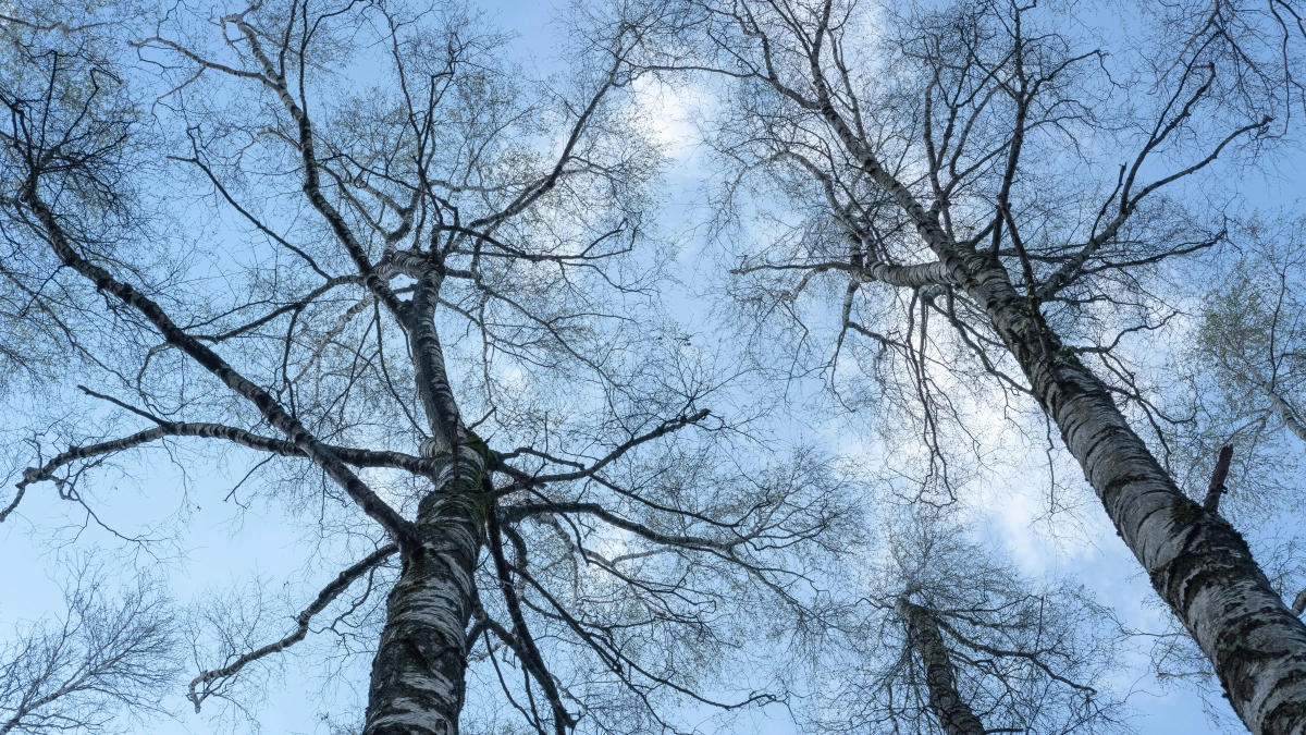 Не трать воду зря и впусти воздух: приметы и запреты на 20 марта