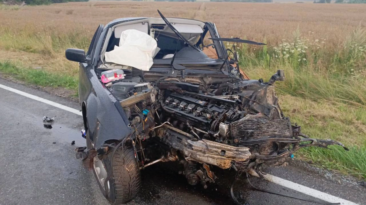 В Правдинском районе будут судить пьяного водителя без прав, убившего в ДТП двух человек