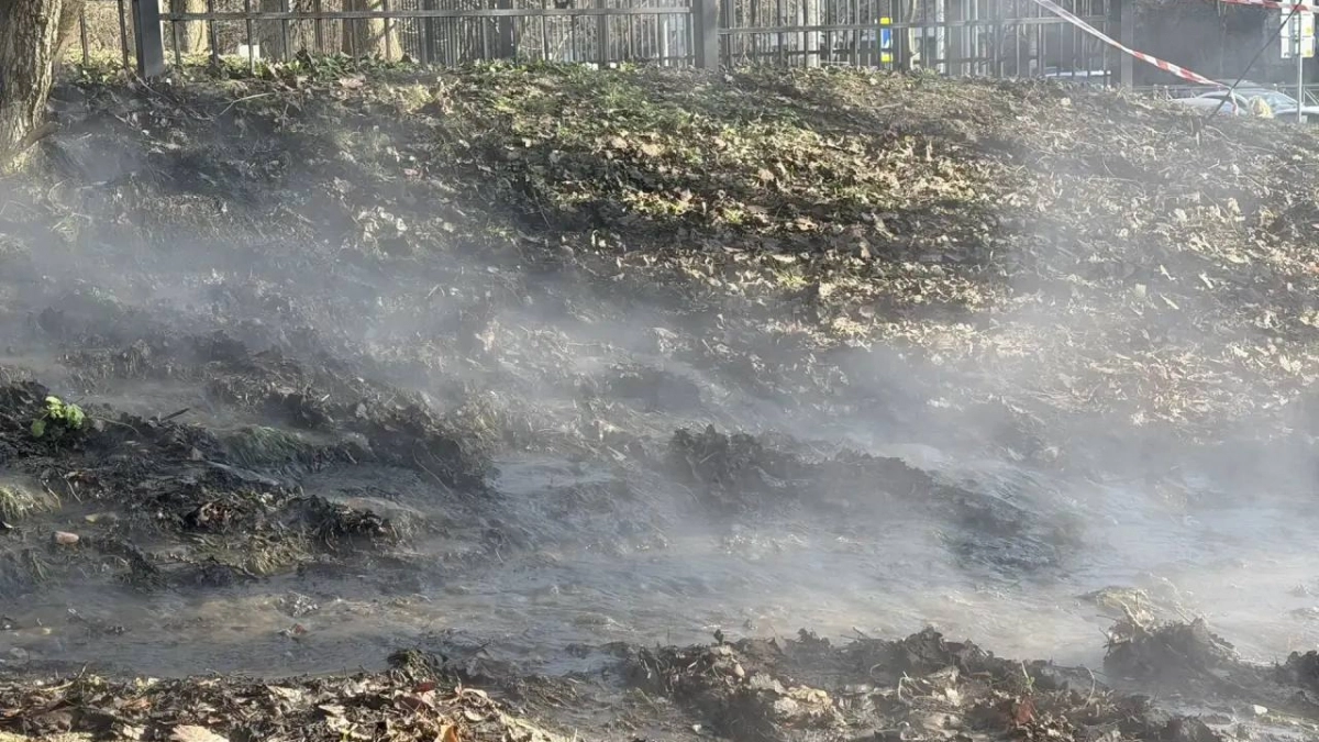 В Калининграде на Московском проспекте прорвало трубу с кипятком: виноваты износ и погода