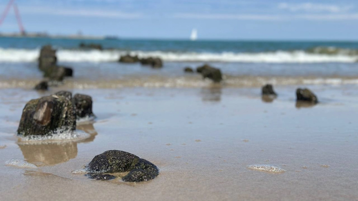 После ночного мороза в Калининград придет весеннее тепло: воскресенье удивит резкой сменой погоды