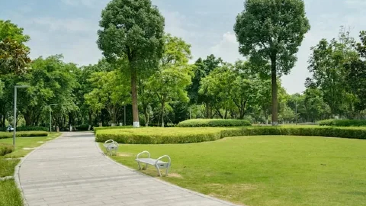 В Калининграде новый парк среди водно-болотных угодий появится вдоль улицы Суворова