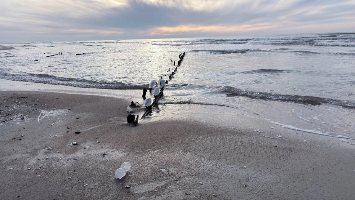 В мире отмечают день Балтийского моря: почему ученые бьют тревогу и обеспокоены за экологию акватории
