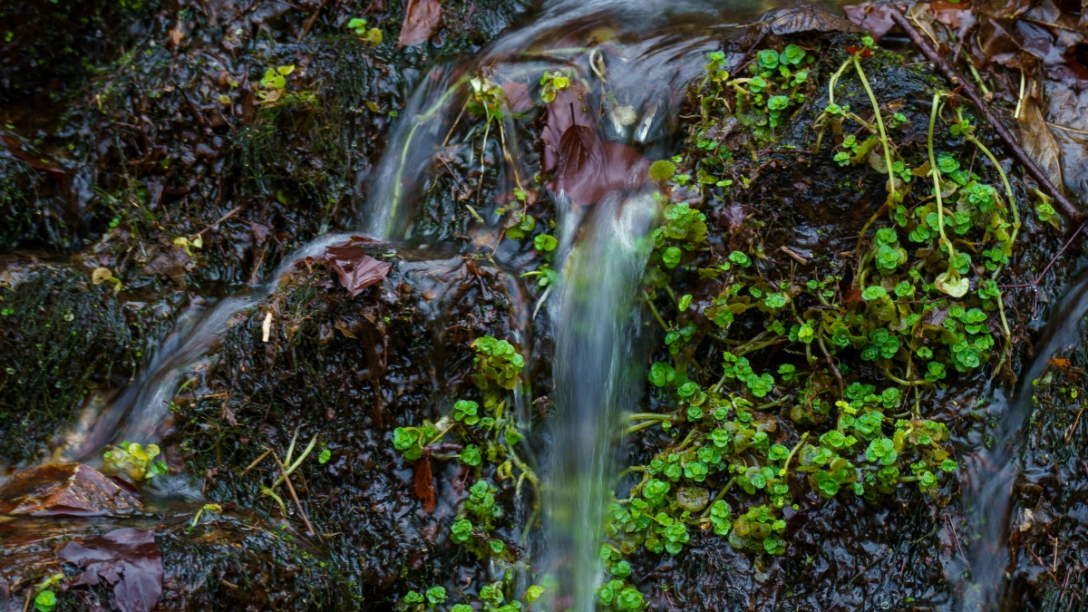 Не игнорируй воду — наведи порядок: народные приметы на 23 марта