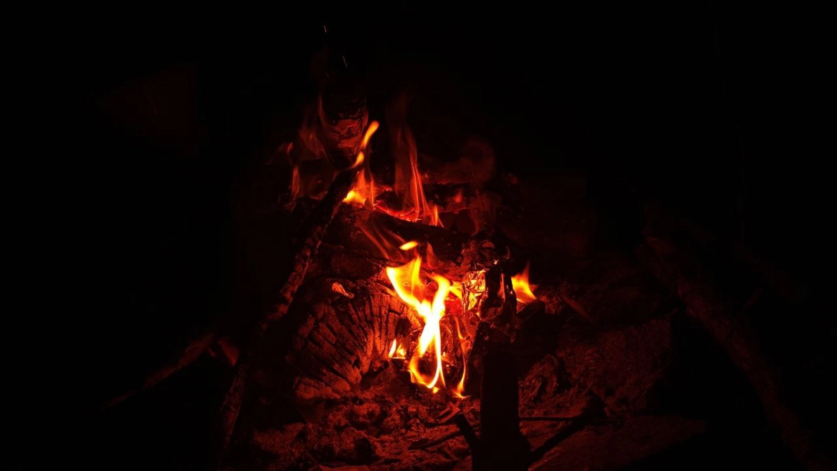 Огонь вместо пользы и огромные штрафы: калининградцев предупредили, чем может обернуться пал сухой травы