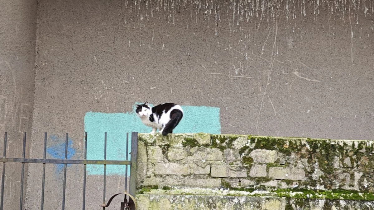 В Калининграде среда станет днём, когда весна вспомнила, что она ещё не наступила