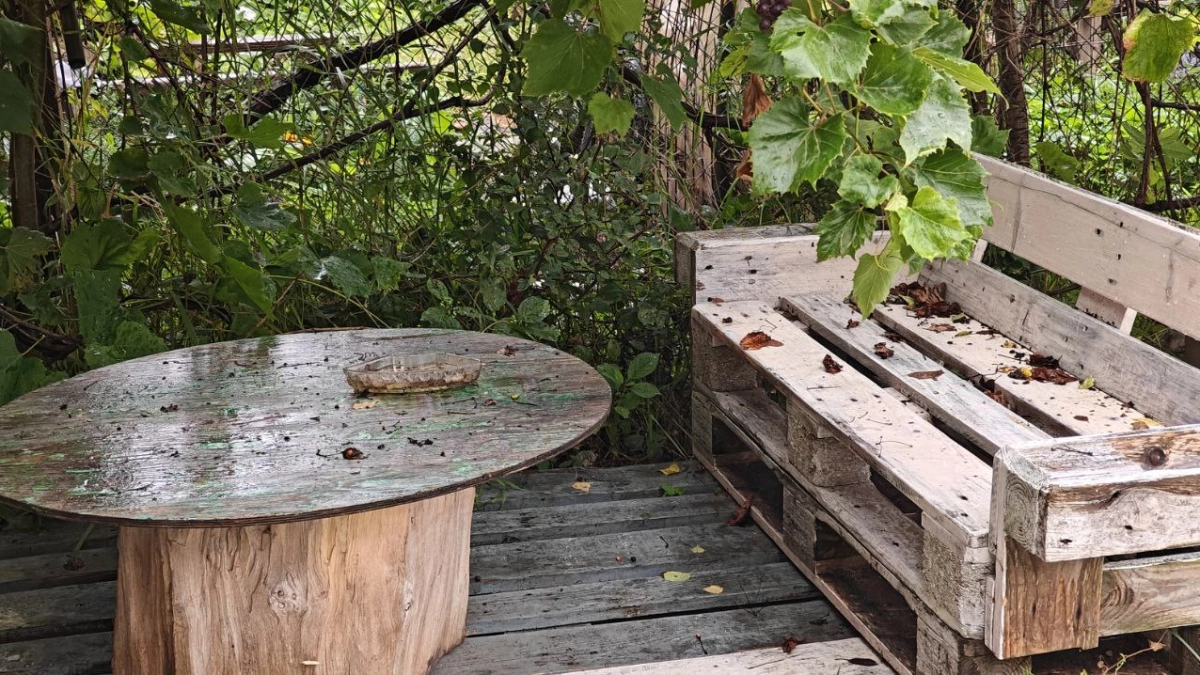 Калининградцы тратят на дачу больше 600 тысяч: опрос показал, кто и сколько вкладывает в загородную жизнь