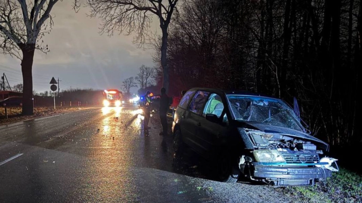 В Калининграде на Мамоновском шоссе вылетевший на встречку Volkswagen протаранил Mitsubishi
