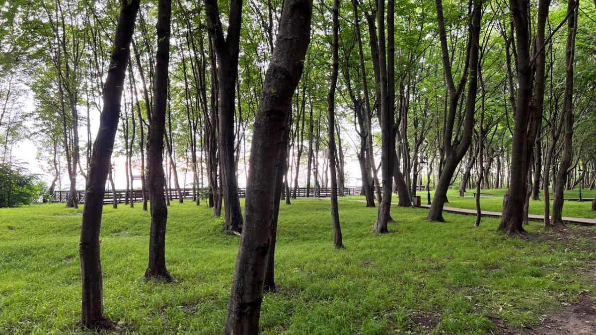 Вход в нацпарк «Виштынецкий» в Калининградской области станет платным с 1 апреля