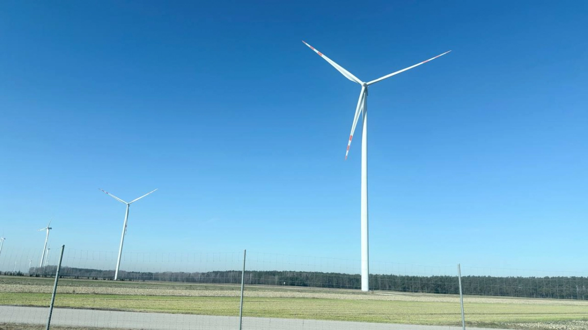 В Калининграде весна решила устроить «скорую помощь»: сначала прогрела, потом приложила холодом