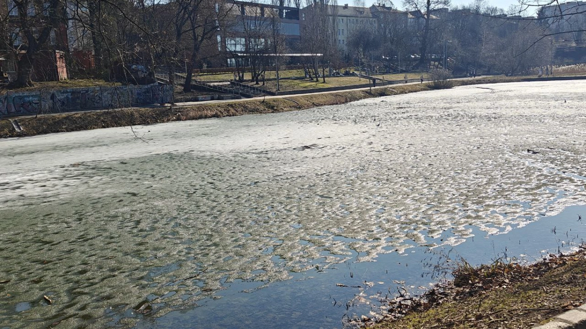 В Калининграде зима подала заявку на продление: на следующей неделе — мокрый снег