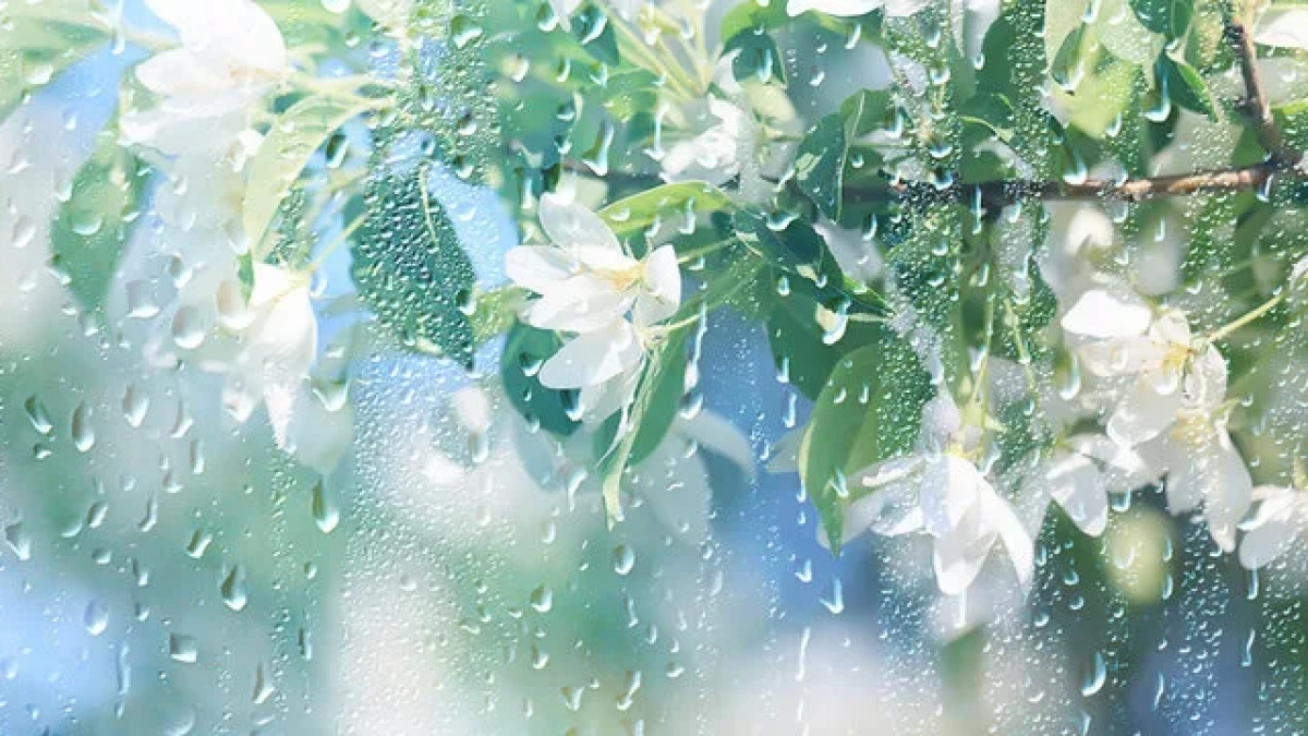 В Калининграде начало апреля может встретить зимними осадками — прогноз погоды