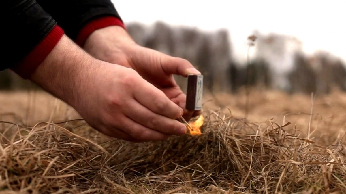 Пожароопасный сезон открыт в Калининграде: какой штраф грозит за сжигание сухой травы 