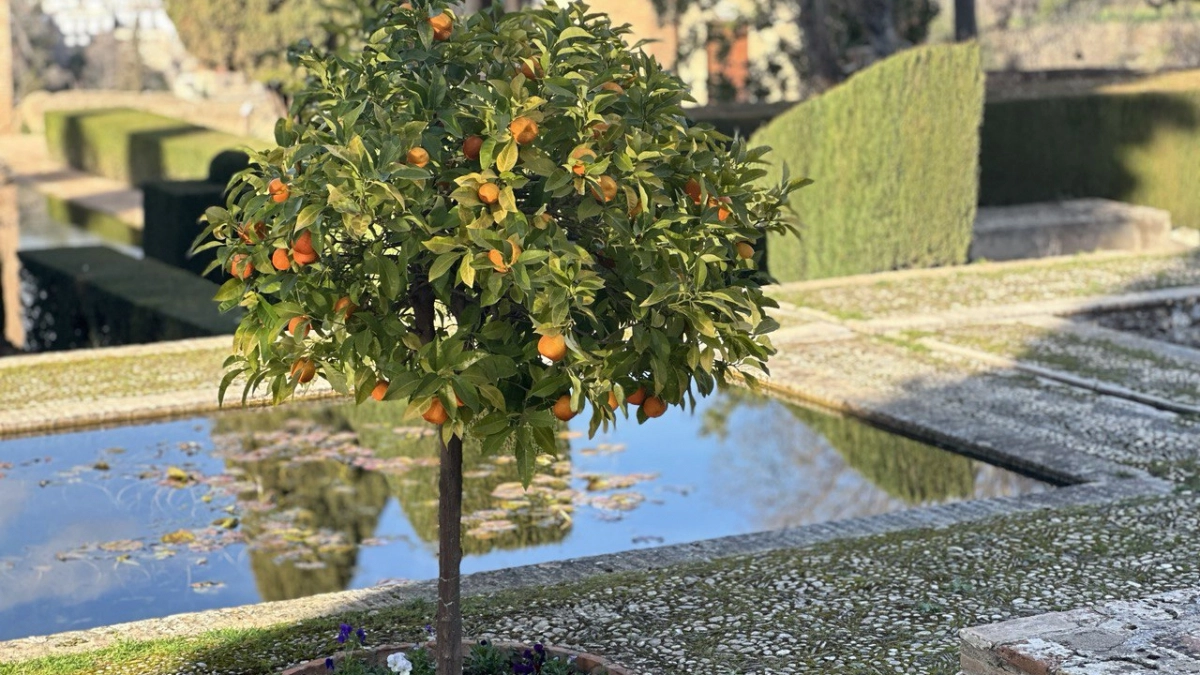 Крым без толп и очередей с чистым морем: место, которое остаётся «своим» - даже гиды о нем молчат