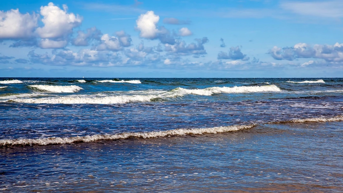 В Калининграде отдают готовый бизнес за миллионы: почему местные отели продают и кто их скупает