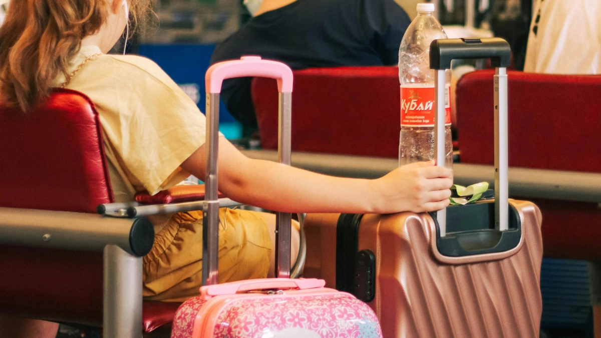 Ручная кладь больше нормы: могут ли снять с самолета и какие последствия грозят