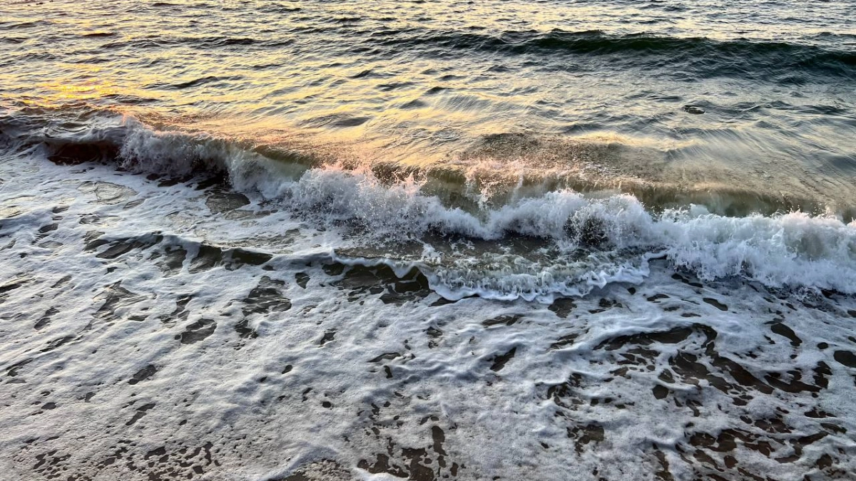 В каком месяце ехать на Черное море: один выбор — и отпуск либо идеален, либо испорчен