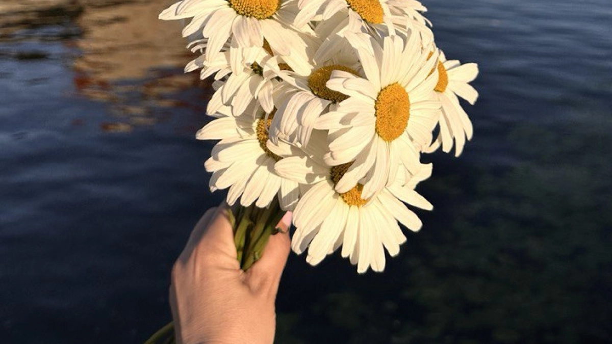 Перестала отвечать «нормально» на вопросы «как дела» — и заметила перемены: 5 простых бабушкиных фраз, которые поменяли жизнь за 1,5 месяца