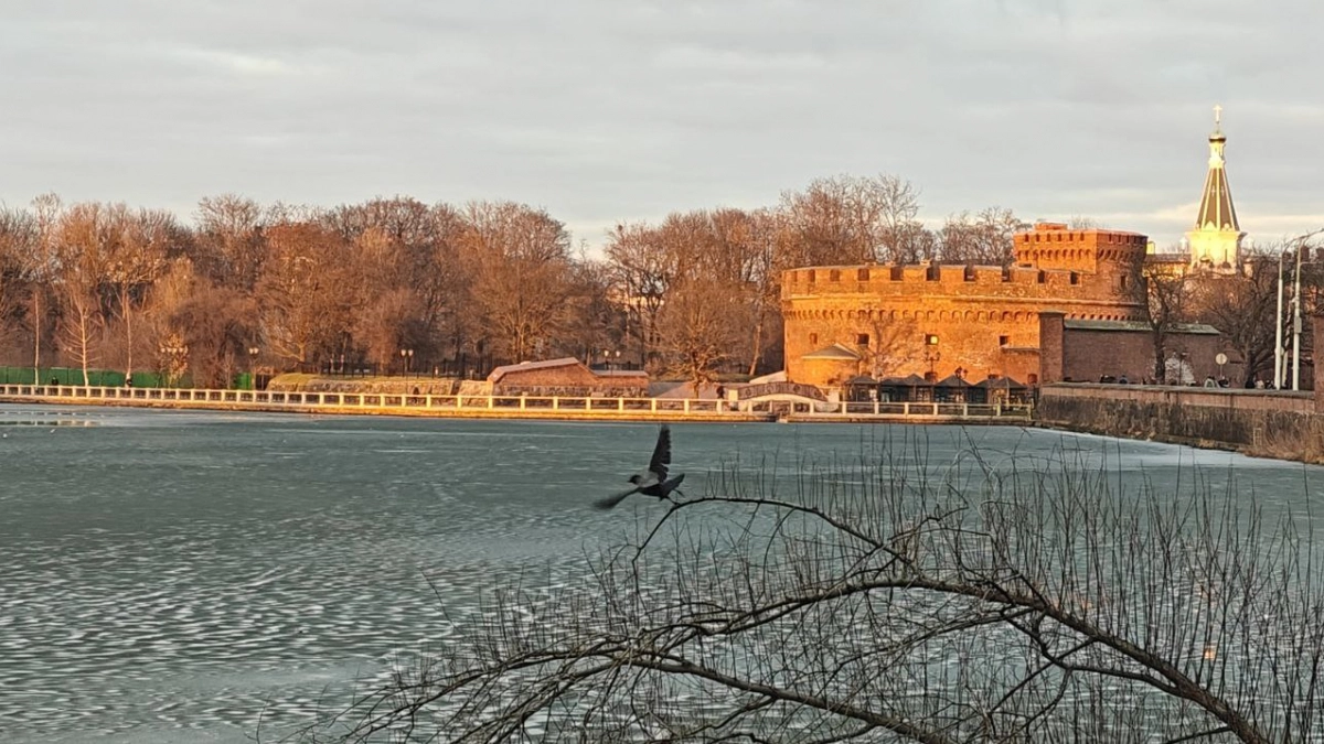 Без дождей, но с морской свежестью: прогноз погоды для Калининграда и приморских городов на воскресенье