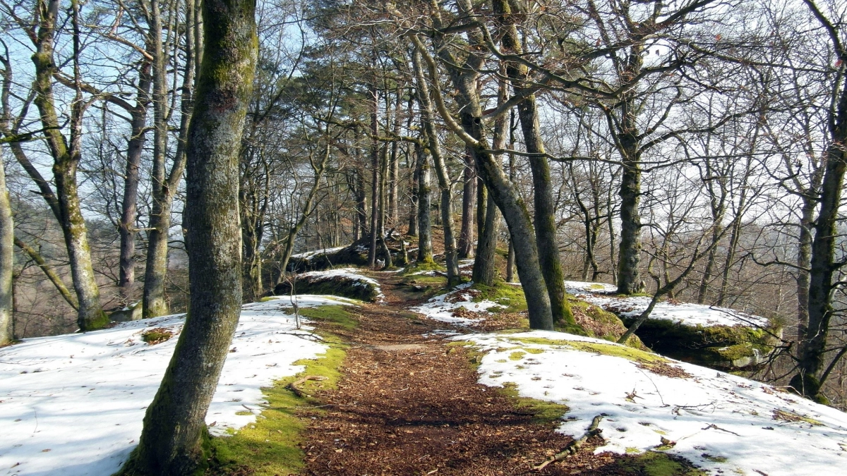 Не перегружайте себя, используйте шанс: народные приметы и запреты на 30 марта