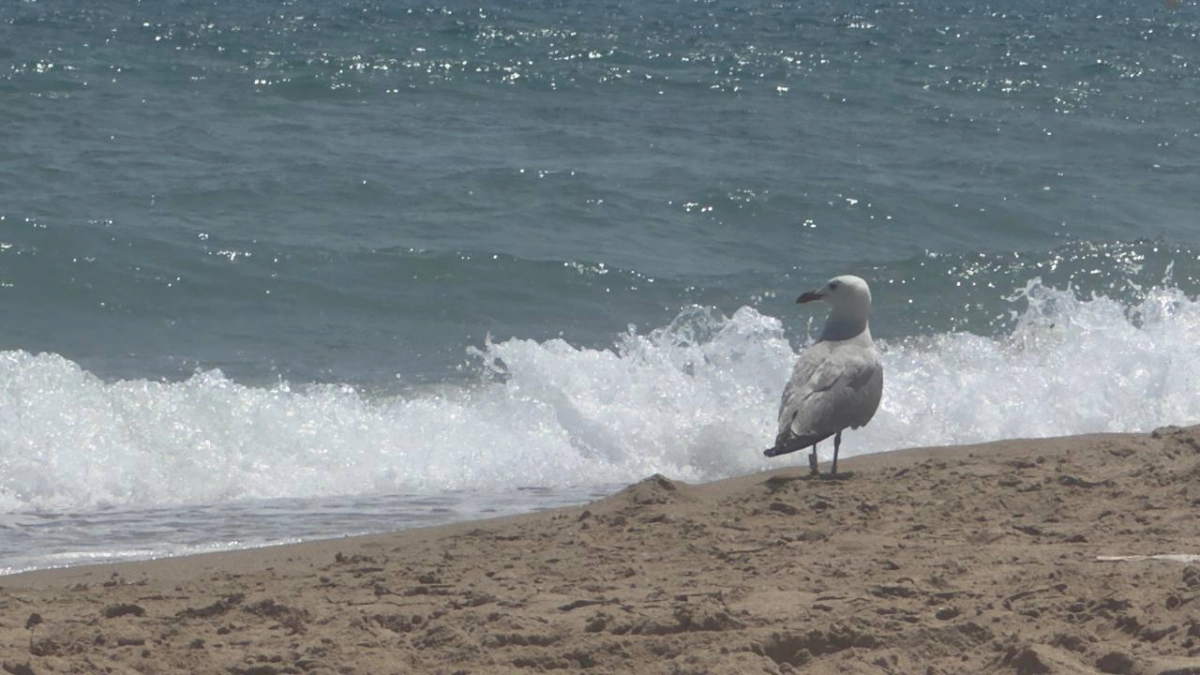 Калининград вновь в топе на весенние каникулы: город вошел в десятку и конкурирует с Питером и Казанью