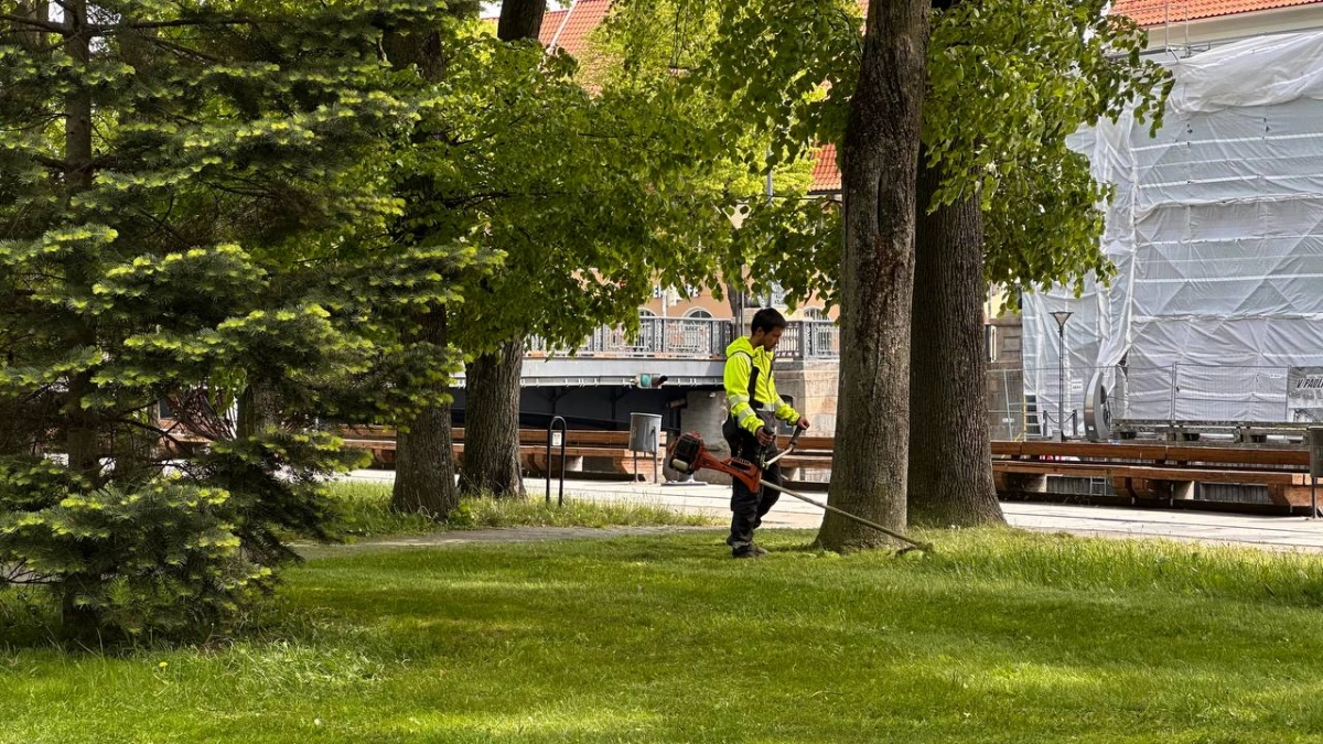 В Калининградской области резко сократилась численность работников — статистика тревожит