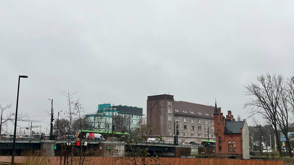 В Калининградской области проснулись токсичные жуки-майки: трогать их опасно