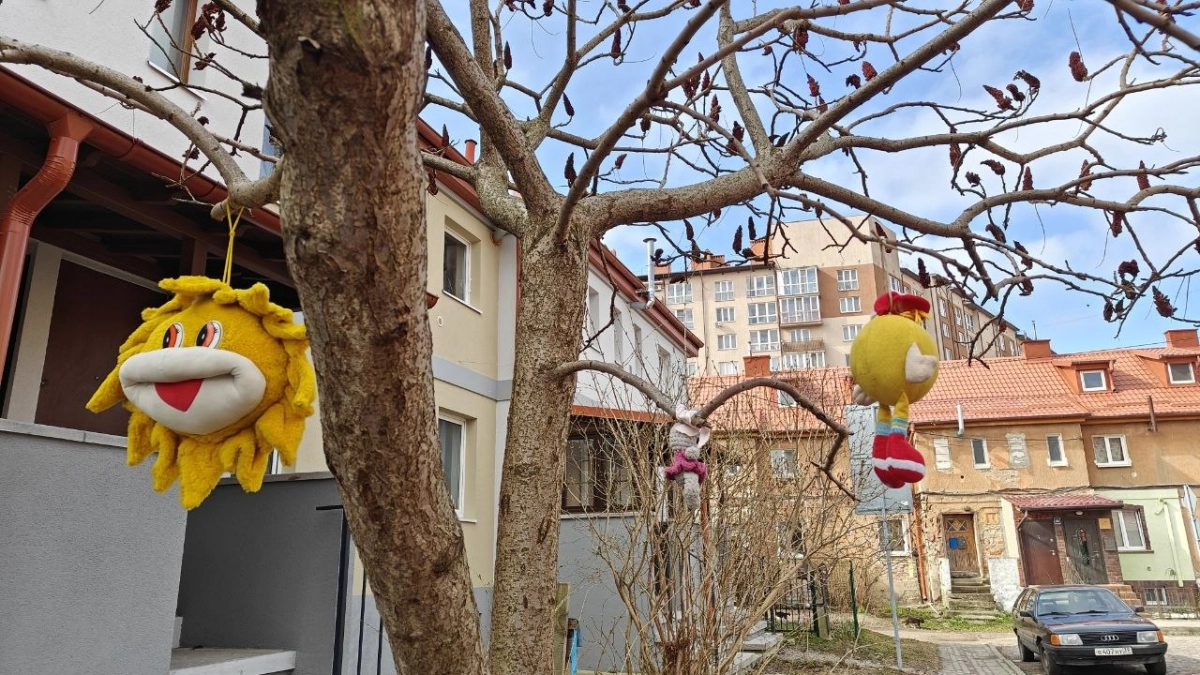 Контраст шокирует: какие качели синоптики обещают городам Калининградской области во вторник