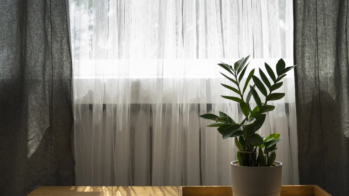 Старый тюль хитрые хозяйки больше не выбрасывают: 13 способов использовать его в доме и на даче