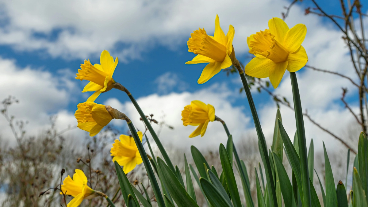 Апрель расставит всё по местам: названы самые сильные и опасные дни месяца - в какие даты деньги и удача идут в руки